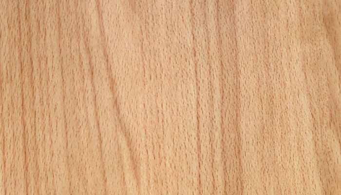 MADERA DE HAYA - Clasificaciondelamadera.com