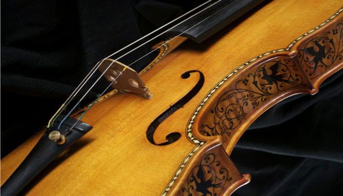tipos de madera para violines